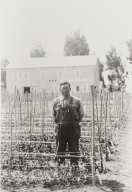 Mr. Sakanashi, a Japanese foreman at the Burpee Seed Company, Lompoc : 1933. He lived on the Burpee property in a house provided by Burpee.