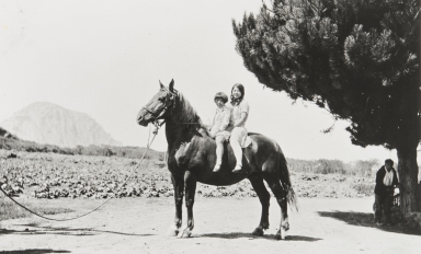Nellie Nagano and Doris Aiso at Nagano Farm. Morro Bay : about 1930. Mitsugi Aiso by tree. Morro Rock in background.